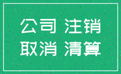 注销公司股东函