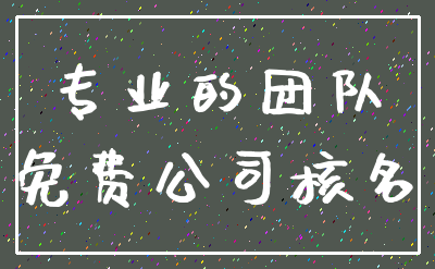 专业的团队_免费公司核名