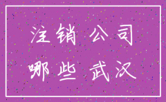武汉注销公司不用查账