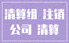 公司半年没开没去注销