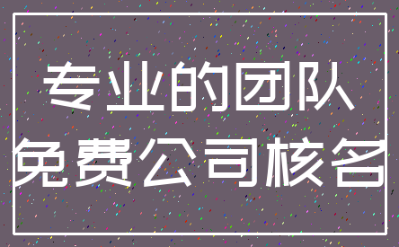 专业的团队_免费公司核名