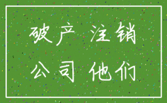 外资分公司税务注销决议