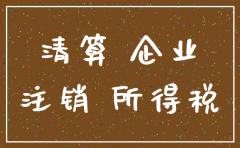 集团公司注销模版