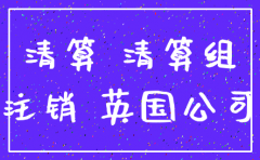 注销境外公司 文件模板