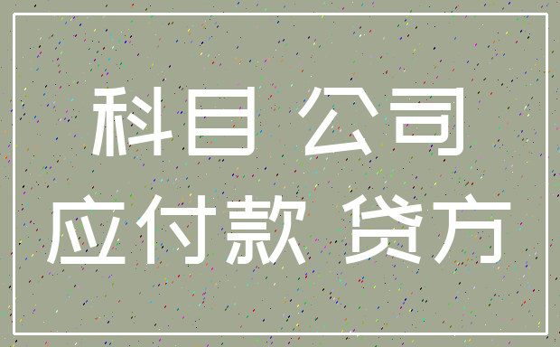 科目 公司_应付款 贷方