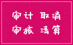公司注销清算报表案例