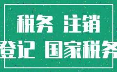 公司注销先去国税需要什么资料