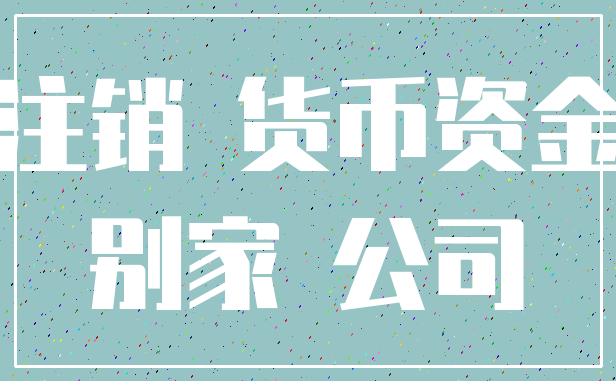 注销 货币资金_别家 公司