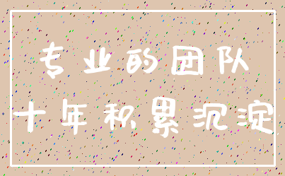 专业的团队_十年积累沉淀