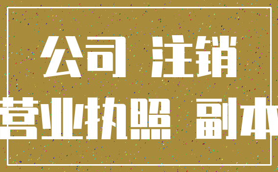 公司 注销_营业执照 副本