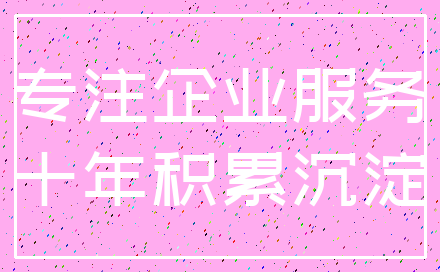 专注企业服务_十年积累沉淀
