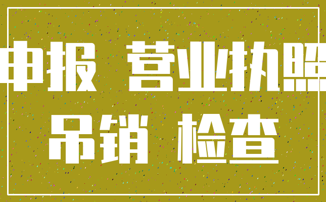 申报 营业执照_吊销 检查