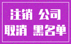 注册了的公司不注销怎么办理