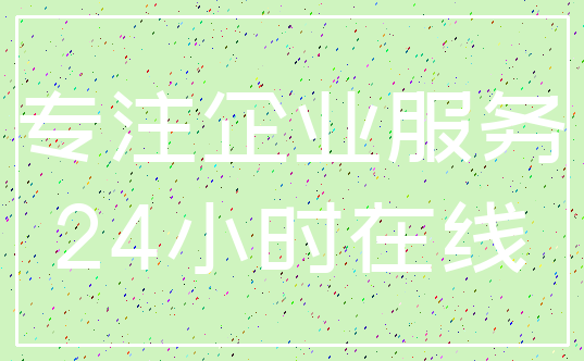 专注企业服务_24小时在线