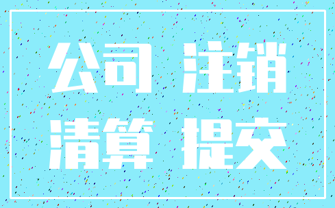 公司 注销_清算 提交