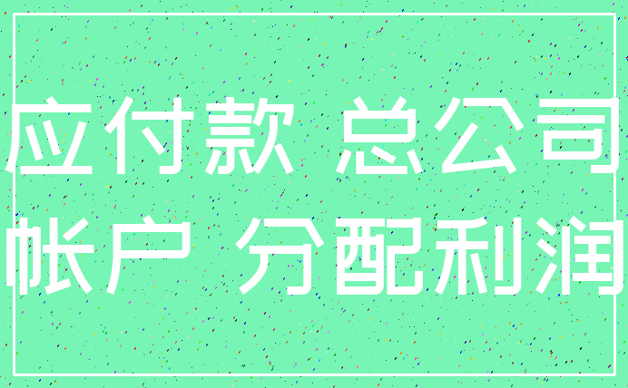 应付款 总公司_帐户 分配利润