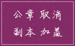 唐山分公司注销都要填哪些表格