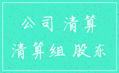 河南地税 公司注销股东会决议