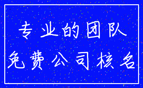 专业的团队_免费公司核名