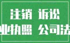 公司注销清算后 起诉