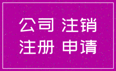 公司注销后还能继续申请执行不