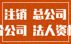 总公司吸收分公司并注销分公司