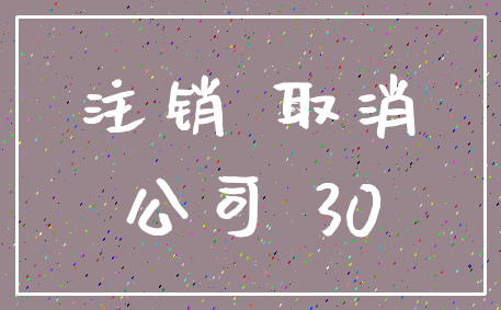 注销 取消_公司 30