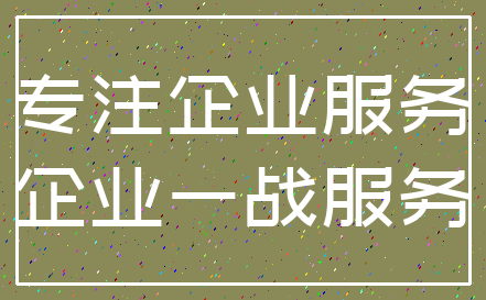 专注企业服务_企业一战服务