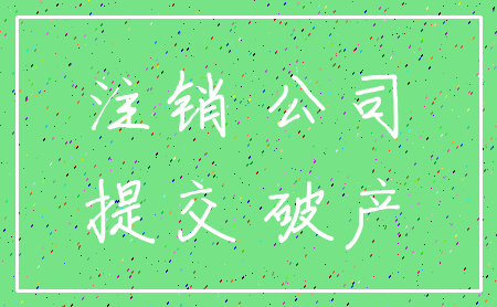 注销 公司_提交 破产