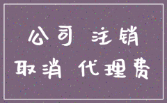 100%%控股注销公司流程