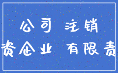 自然人独资公司注销 2018