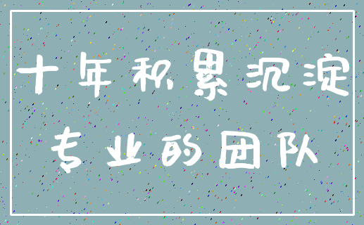 十年积累沉淀_专业的团队