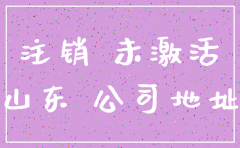 山东省 公司注销