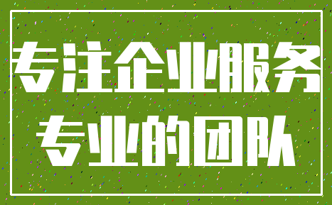 专注企业服务_专业的团队
