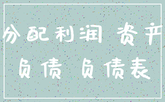 分配利润 资产_负债 负债表