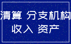 非独立核算分公司注销资产处理