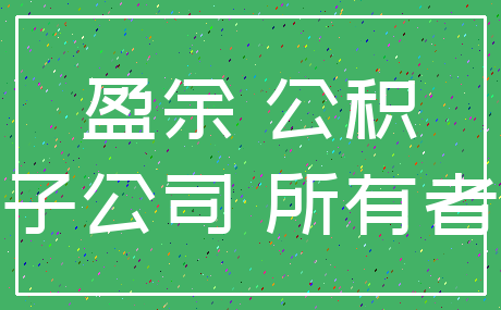 盈余 公积_子公司 所有者