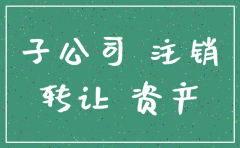 母公司子公司注销
