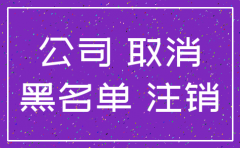 注册的公司不注销会自动注销吗
