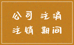 诉讼期间公司是否可以注销