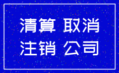 公司注销账务要求