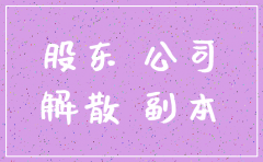 股东个人怎么申请注销公司