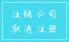 公司税务简易注销不能登录国税系统