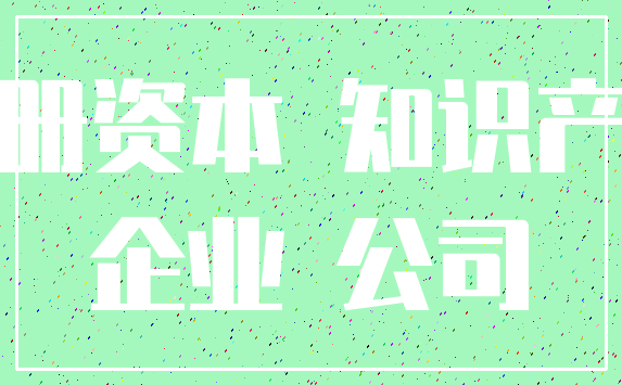 注册资本 知识产权_企业 公司