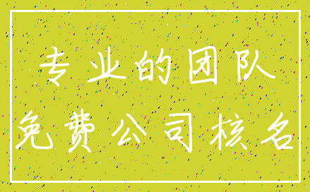 专业的团队_免费公司核名