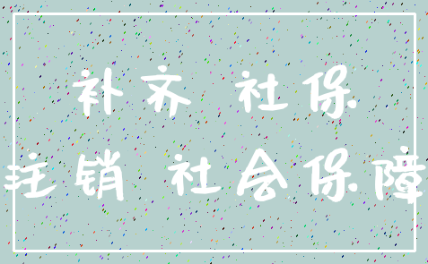 补齐 社保_注销 社会保障
