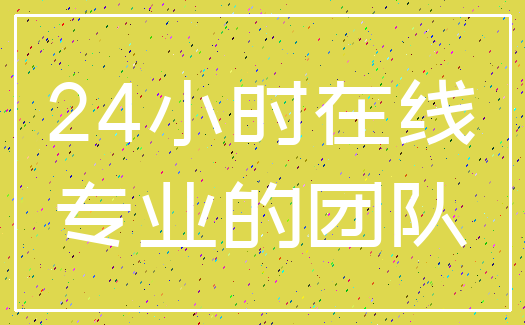 24小时在线_专业的团队