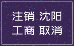 沈阳市代办公司注销