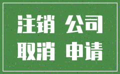 合肥在网上简易注销公司流程