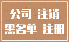 专业注销公司吗